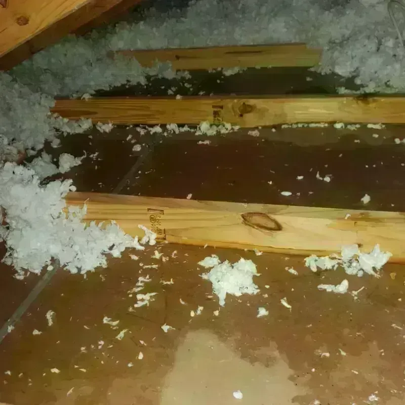 Attic Water Damage in Gray County, TX