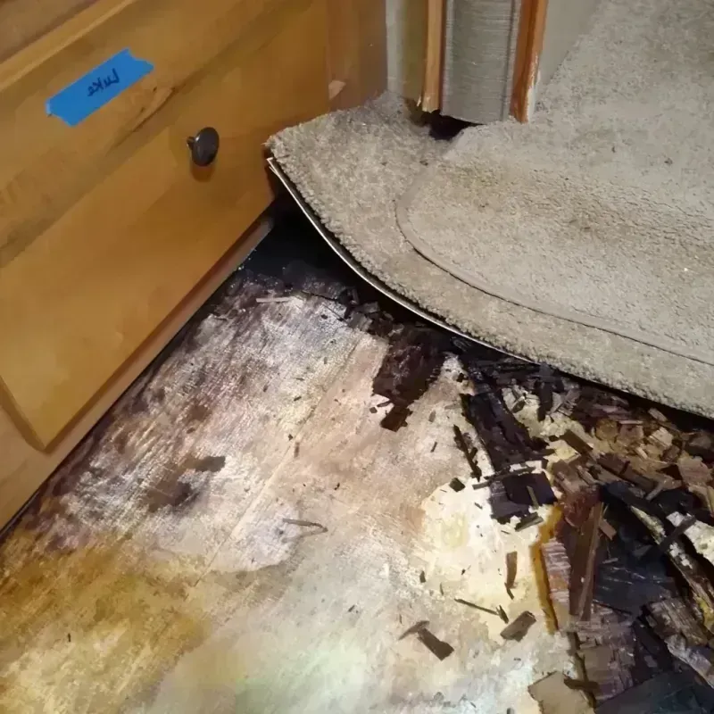 Best Wood Floor Water Damage Service in Gray County, TX